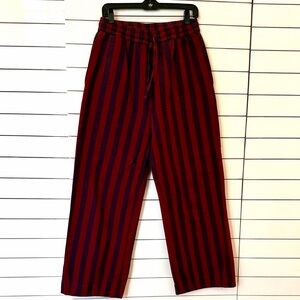 Chic Blue and Red Striped Joggers